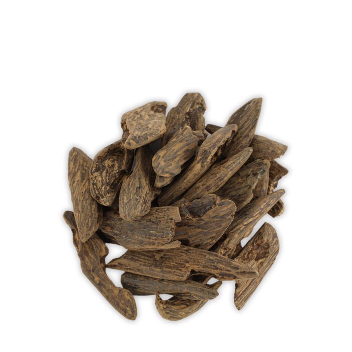 ORL-00006460-2