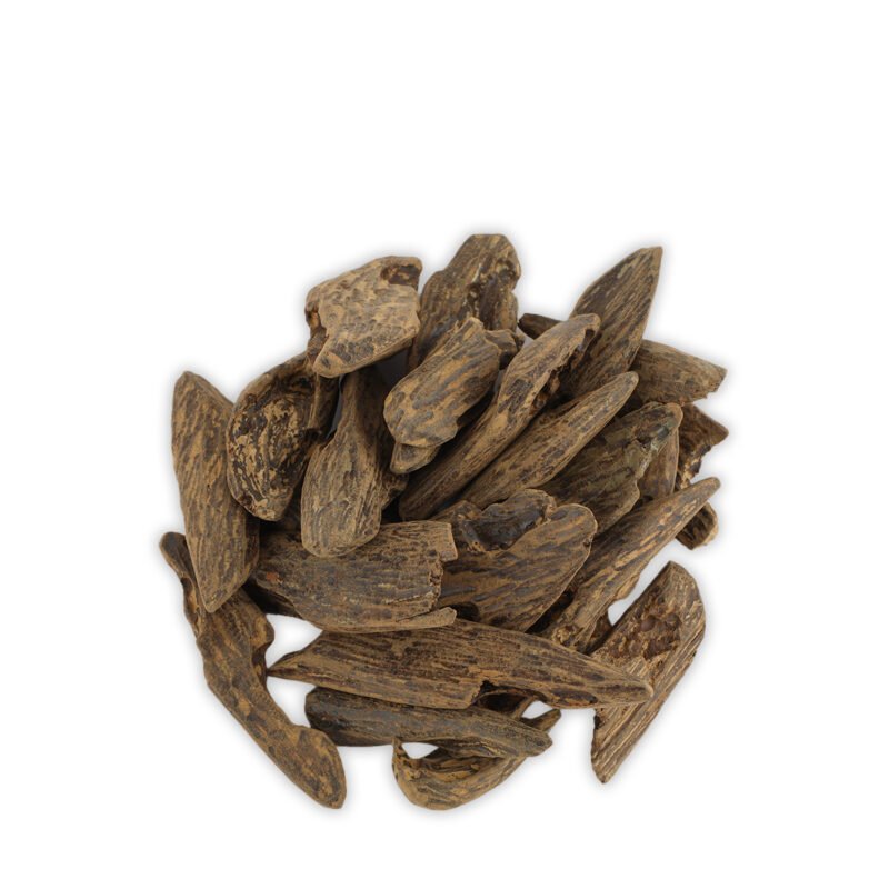 ORL-00006460-2