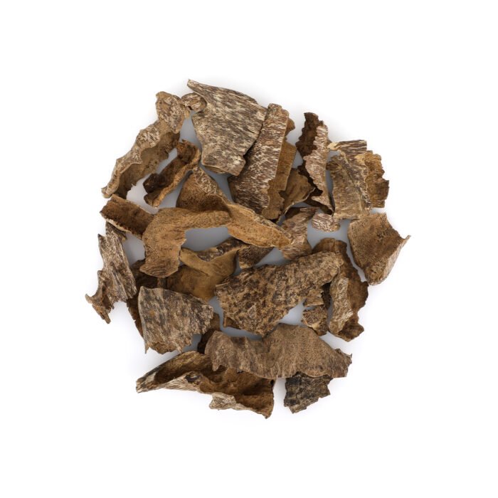 ORL-00006497-3