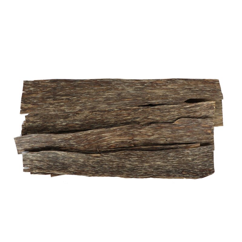 orl-00000672-2